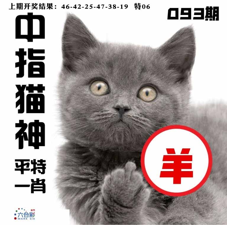 093期中指猫神[图]