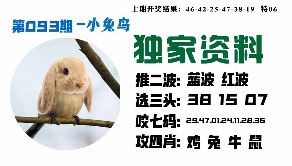 093期小兔鸟[图]